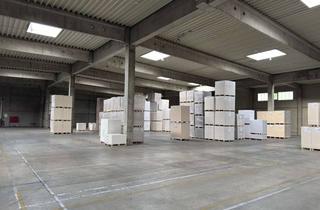 Gewerbeimmobilie mieten in 76863 Herxheim, 5.000 m² Lager- / Logistikfläche zu vermieten