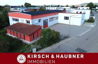 Büro zu mieten in 92318 Neumarkt, Die Gelegenheit!Büro + Ausstellung + Produktion + Lager, Neumarkt - Gewerbepark
