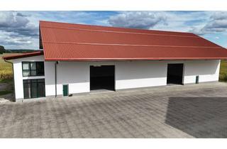 Büro zu mieten in 85469 Walpertskirchen, Hochwertige Lagerhalle mit Bürotrakt in der Nähe von Erding zu vermieten!