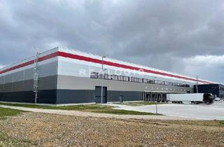 Gewerbeimmobilie mieten in 93083 Obertraubling, Obertraubling, ca. 16.000 m² Logistikhallenfläche zu vermieten