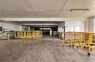 Gewerbeimmobilie mieten in Friedrich-Glunz-Straße 10, 58706 Menden, Gewerbehalle in Menden (Sauerland) – vielseitig nutzbar mit Top-Ausstattung