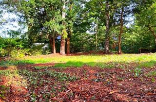 Grundstück zu kaufen in 22523 Eidelstedt, Grünes Paradies im Hamburger Westen – Ruhe, Natur und Raum für Ihre Träume