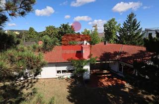 Grundstück zu kaufen in 67098 Bad Dürkheim, Grundstück in guter Lage von Seebach