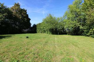 Grundstück zu kaufen in 91161 Hilpoltstein, Attraktives Baugrundstück in Hilpoltstein-Solar: 721 m², teilerschlossen, familienfreundliche Lage