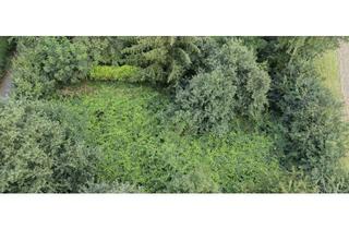 Grundstück zu kaufen in 47574 Goch, Waldgrundstück mit Blick über die Felder