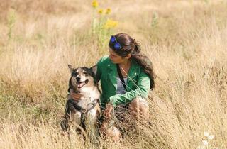 Grundstück zu kaufen in 01900 Großröhrsdorf, Grünes Grundstück für dein Eigenheim mit Herbst-Aktion