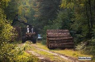Grundstück zu kaufen in Haiderwegteile, 93155 Hemau, Waldgrundstück - provisionsfrei