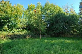 Grundstück zu kaufen in 94139 Breitenberg, PROVISIONSFREI! Vielseitig nutzbares, großzügiges Grundstück mit einer Fläche von 3.320 m²