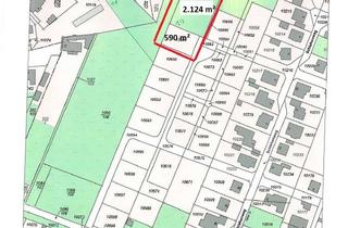 Grundstück zu kaufen in Holunderweg, 39175 Biederitz, Eines der besten 2.714 m² im Herzen von Biederitz