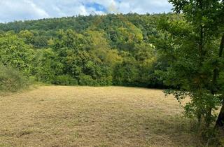Grundstück zu kaufen in Unterer Waldfrieden, 74731 Walldürn, 4.251 m² Freiheit im Grünen – für Naturfreunde & Erholungssuchende an der Straße