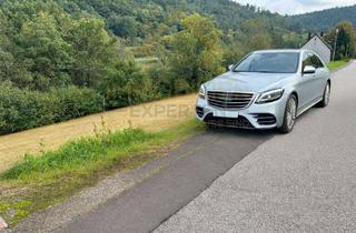 Grundstück zu kaufen in Unterer Waldfrieden, 74731 Walldürn, 4.251 m² Freiheit im Grünen – für Naturfreunde & Erholungssuchende an der Straße