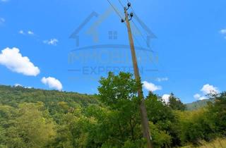 Grundstück zu kaufen in Unterer Waldfrieden, 74731 Walldürn, 4.251 m² Freiheit im Grünen – Bauerwartungsland, Natur & neue Lebensenergie in Rippberg!