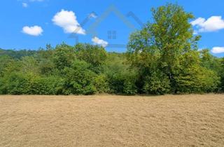 Grundstück zu kaufen in Unterer Waldfrieden, 74731 Walldürn, Wenn Raum wieder Bedeutung hat: 4.251 m² Weite in traumhafter Lage von Rippberg