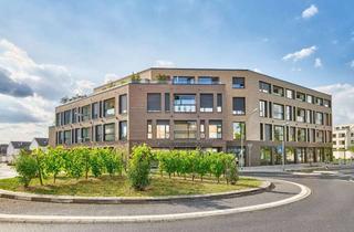 Gewerbeimmobilie kaufen in 65239 Hochheim, Kleine Gewerbeeinheit - Büro/Laden - zentral gelegen in Hochheim