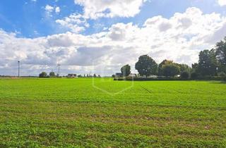 Immobilie kaufen in 52382 Niederzier, Ackerland mit Entwicklungspotenzial in Niederzier