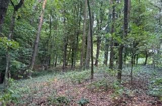 Gewerbeimmobilie kaufen in 84051 Essenbach, Wald der Gemarkung Mettenbach