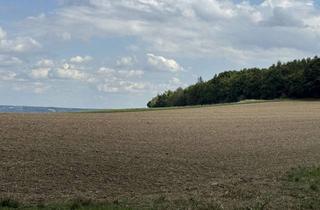 Gewerbeimmobilie kaufen in 84051 Essenbach, Landwirtschaftliche Fläche der Gemarkung Mettenbach