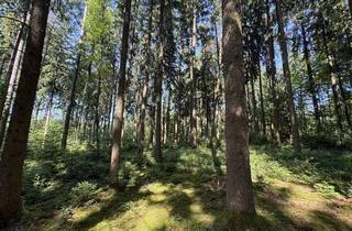 Gewerbeimmobilie kaufen in 84061 Ergoldsbach, Verkauf von forstwirtschaftlicher Fläche in Langenhettenbach / Ergoldsbach!