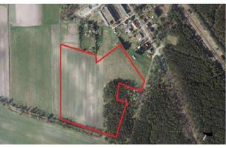 Gewerbeimmobilie kaufen in 15757 Halbe, Grundstück Im Struck in Halbe, Brandenburg