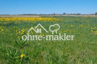 Immobilie kaufen in 18516 Süderholz, Grundstück mit Blick in die Ferne