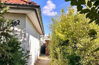 Einfamilienhaus kaufen in 39118 Magdeburg, Magdeburg - Einfamilienhaus im grünen Stadtteil, ohne Makler, Nähe Uniklinik