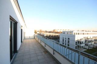 Wohnung mieten in 53117 Auerberg, Familienfreundliche 4-Zimmer-Wohnung mit Dachterrasse