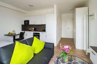 Wohnung mieten in Kirchstraße 65a, 63512 Hainburg, Großzügiges 1-Zimmer-Apartment, voll möbliert & ausgestattet in Hainburg