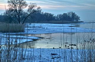 Wohnung mieten in 78343 Gaienhofen, 1-Zimmer Wohnung mit Balkon in Gaienhofen-Horn, befristet