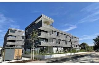 Wohnung mieten in Pestalozzistraße, 79618 Rheinfelden (Baden), 1-Zimmer-Wohnung in gehobener Wohnanlage