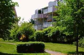 Wohnung mieten in Hölderlinstraße, 04435 Schkeuditz, hübsche 2-Raumwohnung in ruhigem Wohnpark