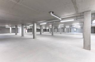 Lager mieten in Reisstraße 42, 01257 Leuben, Flexible Lagerflächen 30-200 m² in Dresden Niedersedlitz - storemore business bay