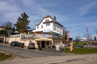 Gewerbeimmobilie kaufen in Burgstrasse 164, 06493 Güntersberge, Gastronomie (Eisdiele), B&B, Pension und private Wohnung uVm.