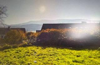 Einfamilienhaus kaufen in 93453 Neukirchen, Einfamilienhaus mit großem Garten im Bayerischen Wald!
