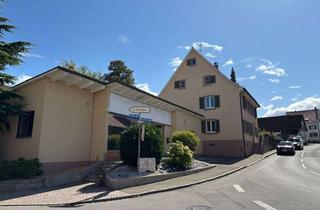 Haus kaufen in 79595 Rümmingen, Rümmingen Zweifamilienhaus mit Option auf weitere Wohneinheiten, 1284m2, Gewerbeeinheit, baureserve