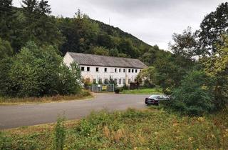 Gewerbeimmobilie kaufen in 67823 Obermoschel, Vielseitige Gewerbehalle mit zwei großzügigen Wohneinheiten 67823 Obermoschel PROVISIONSFREI