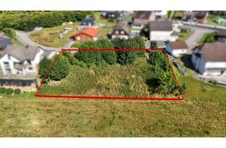 Grundstück zu kaufen in 57648 Bölsberg, Zwei Grundstücke mit unverbaubaren Blick nahe Bad Marienberg