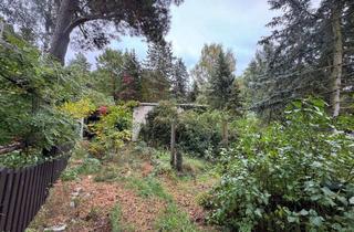 Grundstück zu kaufen in Tannenweg 24, 14947 Nuthe-Urstromtal, Schönes Naturgrundstück zur Erholung (nah am See)