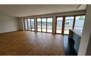 Immobilie mieten in Erhard-Grözinger-Str. 51, 89134 Blaustein, Schöne große Penthouse-Wohnung mit toller Dachterrasse und Einbauküche