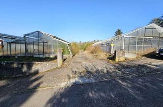 Immobilie kaufen in Hohenheimer Straße 93/2, 73734 Esslingen, Gewerbefläche für Friedhofsgewerbe mit eingeschränkter Bauoption