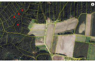 Gewerbeimmobilie kaufen in 84089 Aiglsbach, Waldfläche mit 3,5 ha Aigslbach