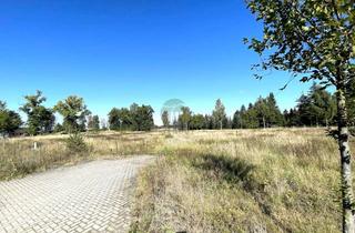 Gewerbeimmobilie kaufen in 29331 Lachendorf, GEWERBEFLÄCHE MIT EXZELLENTER ANBINDUNG – 5.350 M² IN LACHENDORF