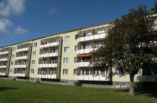 Wohnung mieten in Kleine Parowerstr. 66, 18435 Stralsund, Für Berufsanfänger der Start ins eigene Zuhause ! Erstbezug nach Wohnungsmodernisierung