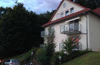 Wohnung mieten in Odenwaldring 105, 97896 Freudenberg, 3-Raum-Wohnung mit kleiner Terrasse und Einbauküche in Freudenberg-Odenwaldring