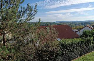 Wohnung mieten in 73207 Plochingen, 1-Zimmer Wohnung in Plochingen mit Aussicht