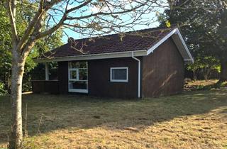 Haus kaufen in Am Kronsberg 22, 23744 Schönwalde, Ferienhaus mit Charme in Mönchneversdorf