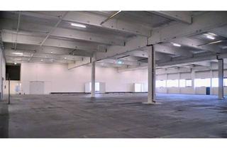 Gewerbeimmobilie mieten in 76726 Germersheim, Preiswertes Logistikzentrum ab sofort zur Miete