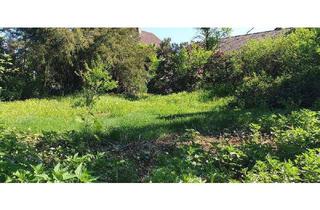 Grundstück zu kaufen in 63517 Rodenbach, Abriss-Grundstück zentral in 63517 Niederrodenbach, TOP-Lage