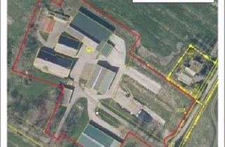 Immobilie kaufen in Wischhafenersand, 21706 Drochtersen, Hofstelle auf Krautsand, 21706 Drochtersen