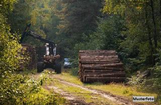 Immobilie kaufen in 93155 Hemau, Waldgrundstück - provisionsfrei