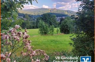 Immobilie kaufen in 94249 Bodenmais, Ein wahres Juwel - weitläufiges Freizeitgrundstück mit traumhaftem Blick auf den Silberberg in Bodenmais